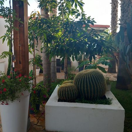 Villa Raggio Di Sole Parcheggio Privato ポルト・チェザーレオ エクステリア 写真