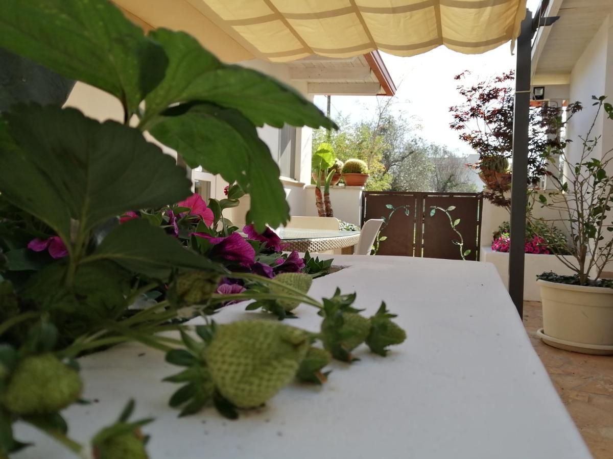 Villa Raggio Di Sole Parcheggio Privato ポルト・チェザーレオ エクステリア 写真