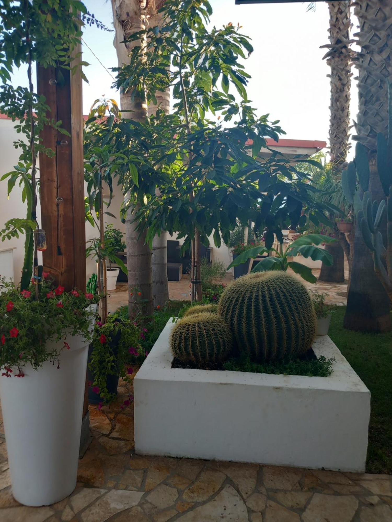 Villa Raggio Di Sole Parcheggio Privato ポルト・チェザーレオ エクステリア 写真